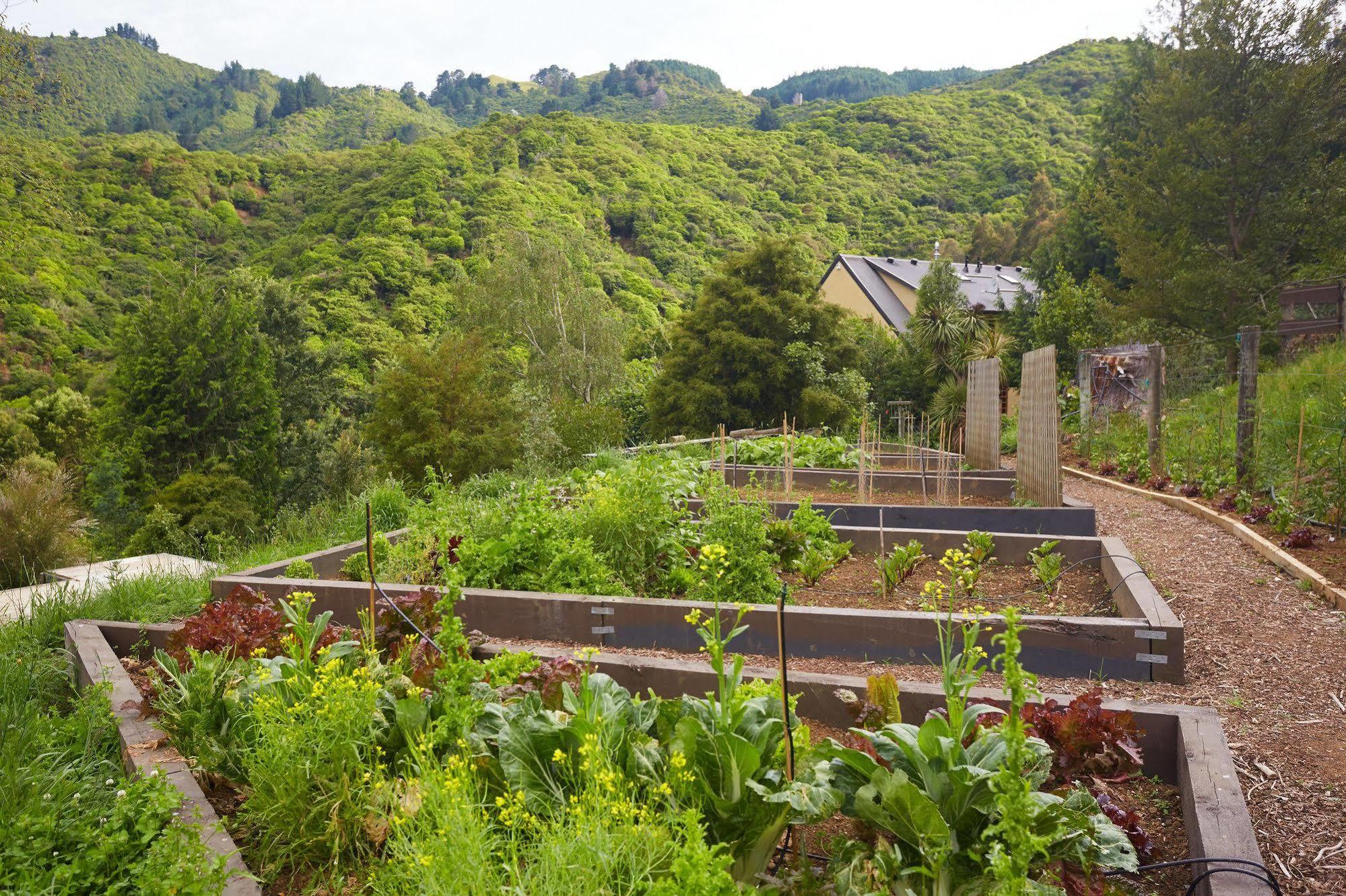 The Resurgence luxury eco lodge Motueka Exterior foto